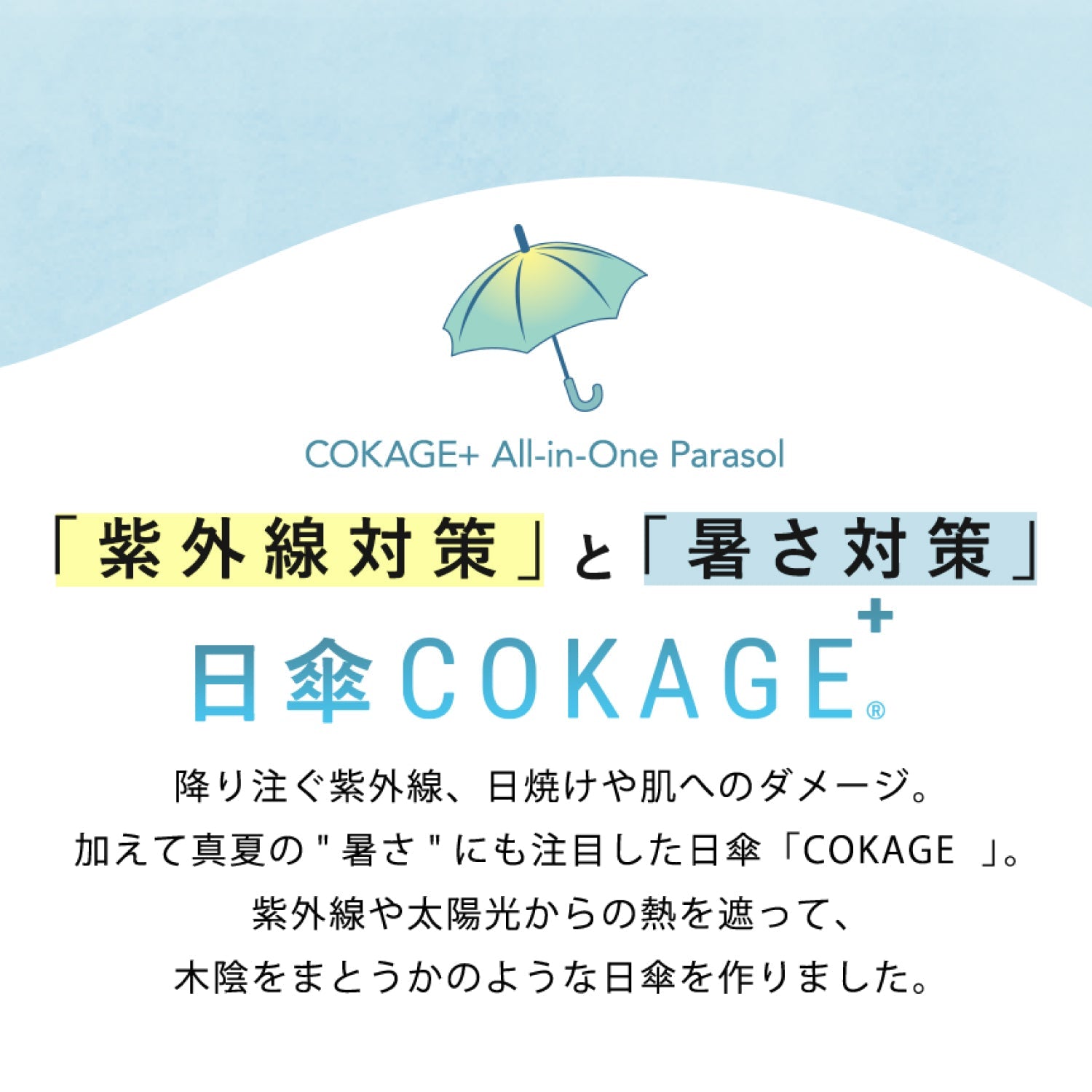 【フリル 長傘】COKAGE+ 竹手元 50cm Waterfront Official Shop