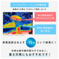 スレンダーハンドル UVブロック 50cm Waterfront Official Shop