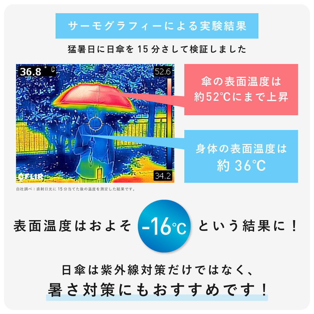 ZENTENKOU 60cm Waterfront Official Shop