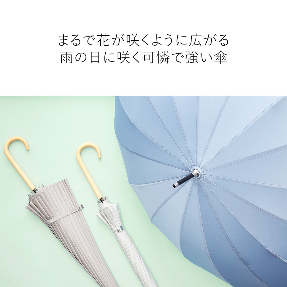 16K花びらき 55cm Waterfront Official Shop