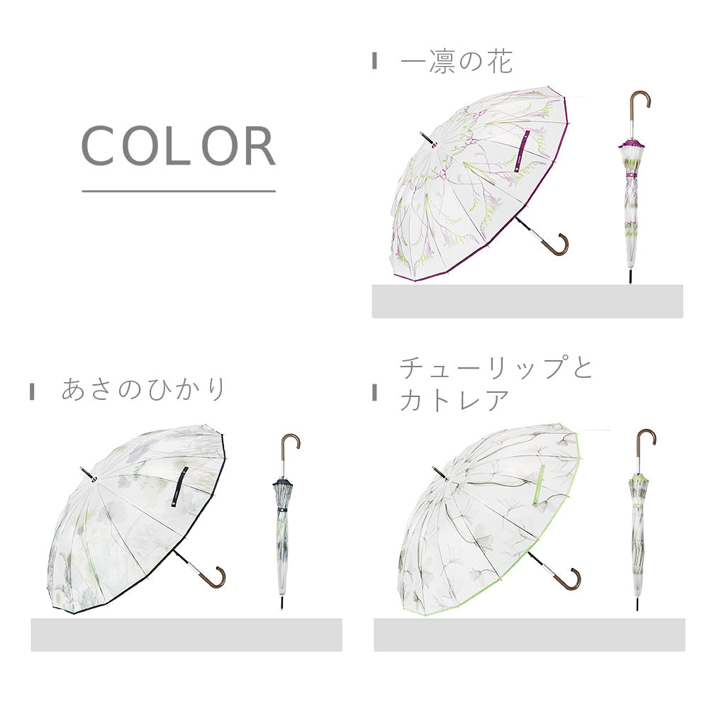 memorif. 花びらき 55cm Waterfront Official Shop