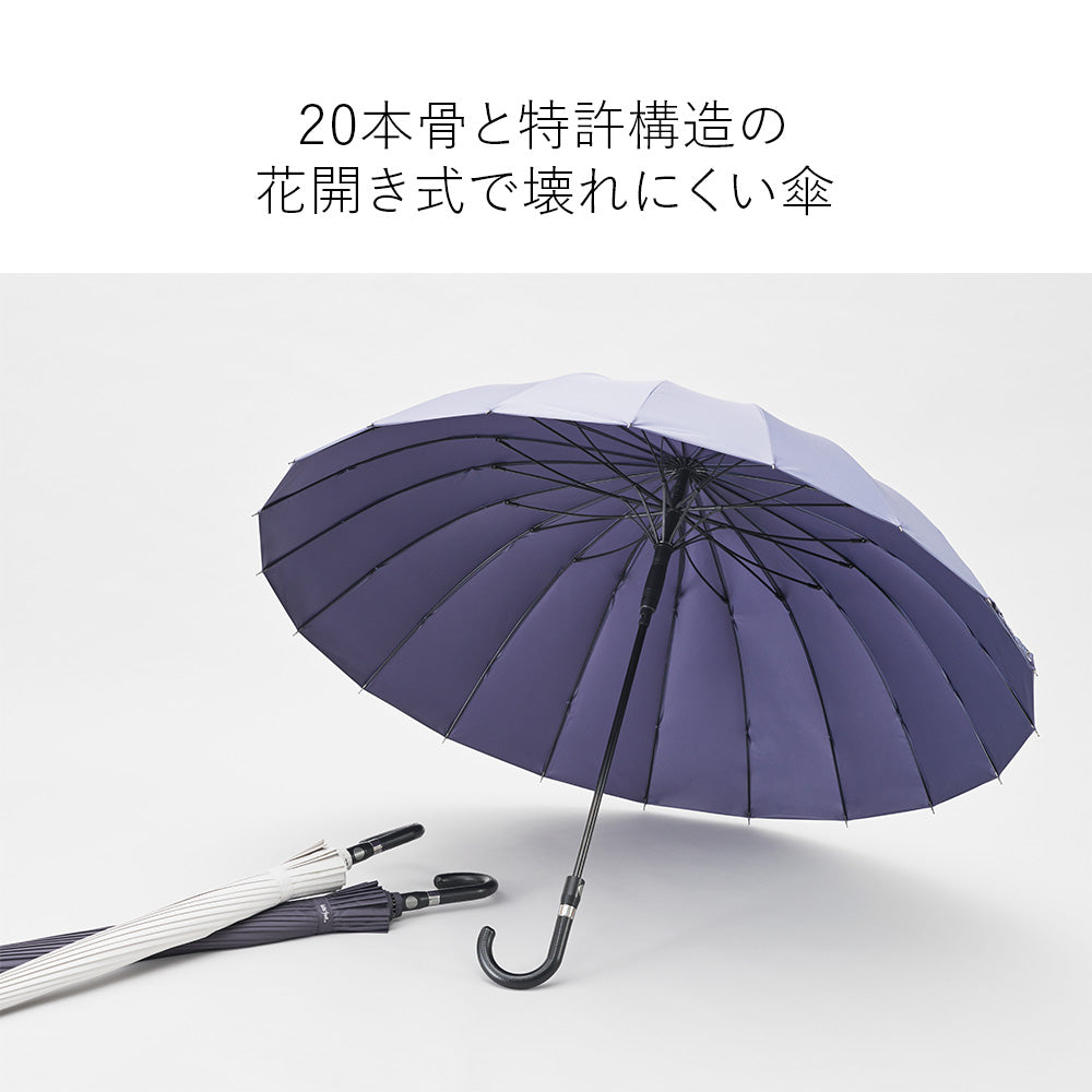 富山サンダー20本骨 Waterfront Official Shop