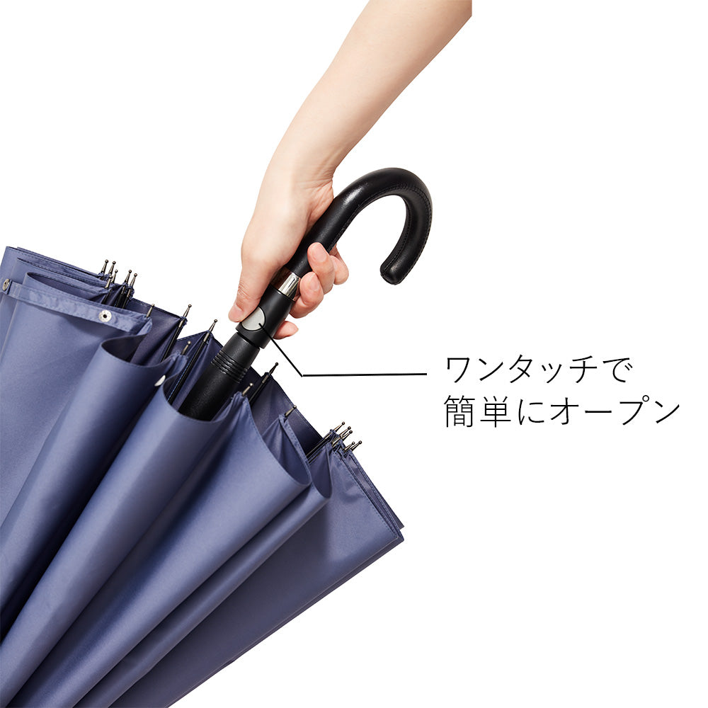 富山サンダー20本骨 Waterfront Official Shop