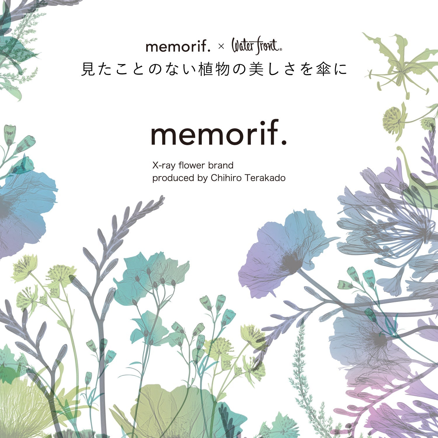 memorif. 花びらき 55cm Waterfront Official Shop
