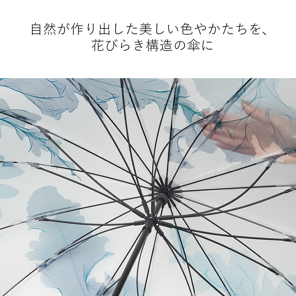 memorif. 花びらき 55cm Waterfront Official Shop
