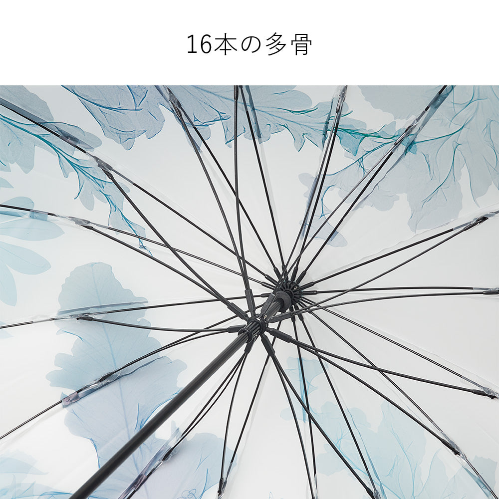 memorif. 花びらき 55cm Waterfront Official Shop