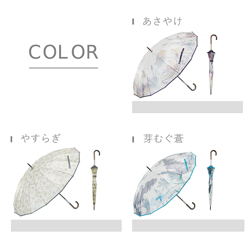 memorif. 花びらき 55cm Waterfront Official Shop