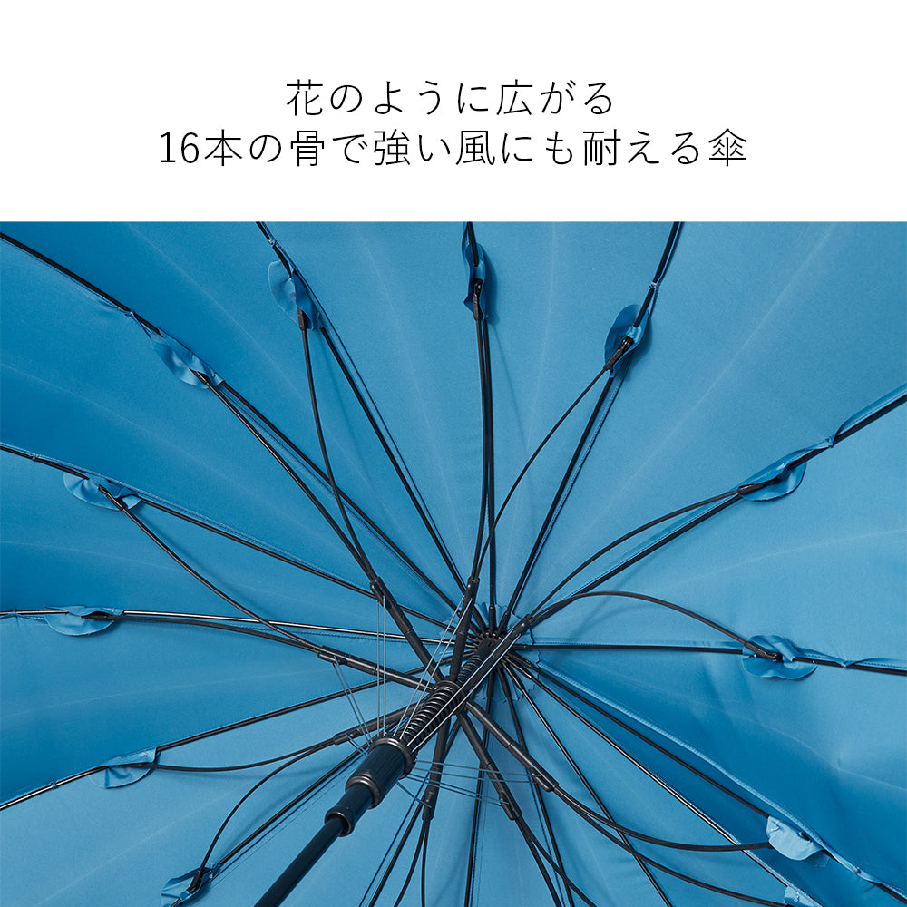 16K花びらきジャンプ 65cm Waterfront Official Shop