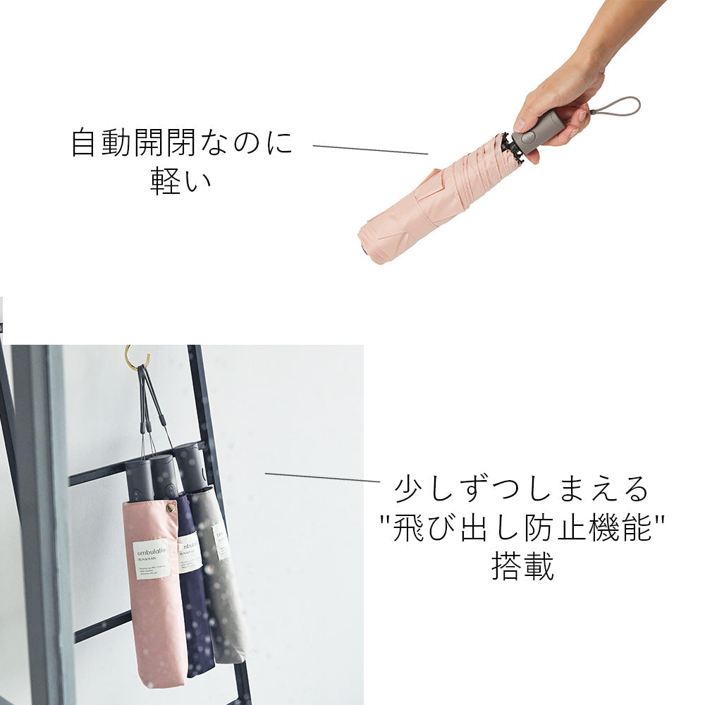 カルオート 折 55cm Waterfront Official Shop