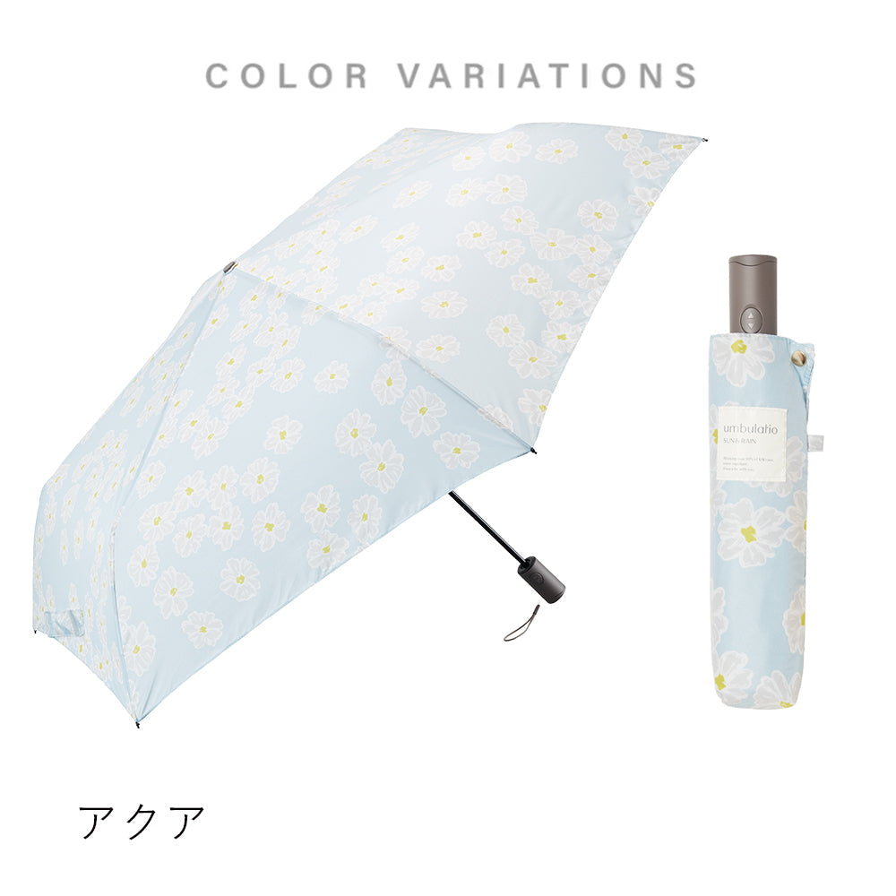 カルオート 折 55cm Waterfront Official Shop