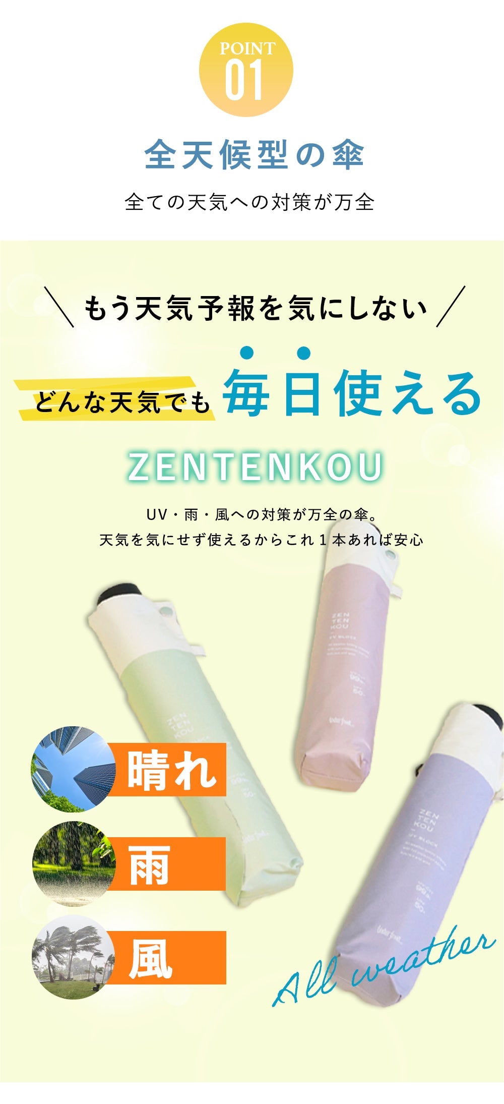 ZENTENKOU 折 55cm バイカラー Waterfront Official Shop